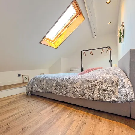 Apartment Cocon Sous Les Toits Albertville