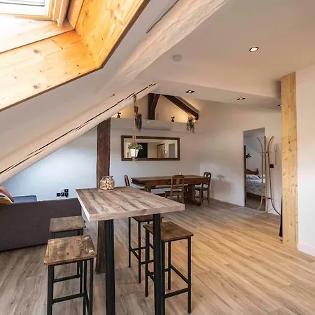 Cocon Sous Les Toits 公寓 阿尔贝维尔