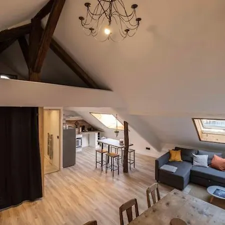 Cocon Sous Les Toits 阿尔贝维尔