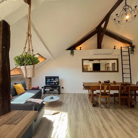 Cocon Sous Les Toits 阿尔贝维尔